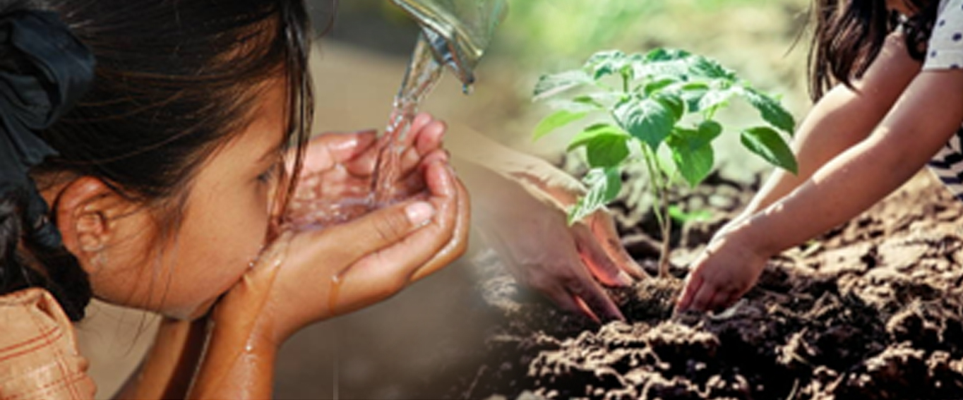 Anand Vardhan Foundation